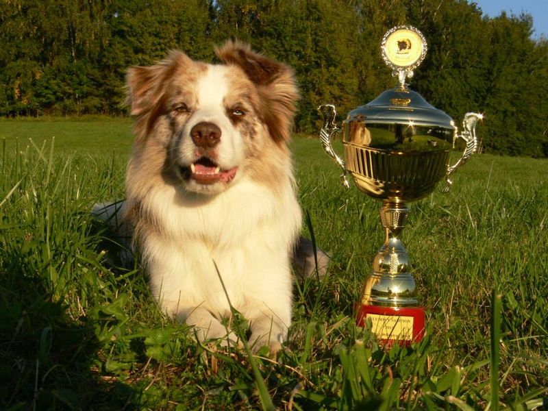 Amigo s pohárem za Klubového šampiona