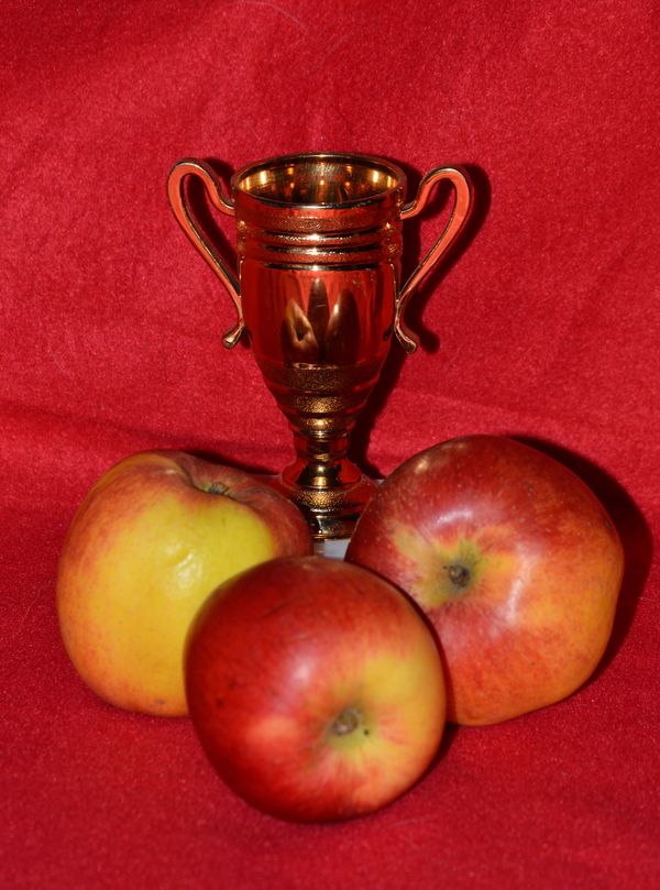 Apple cup